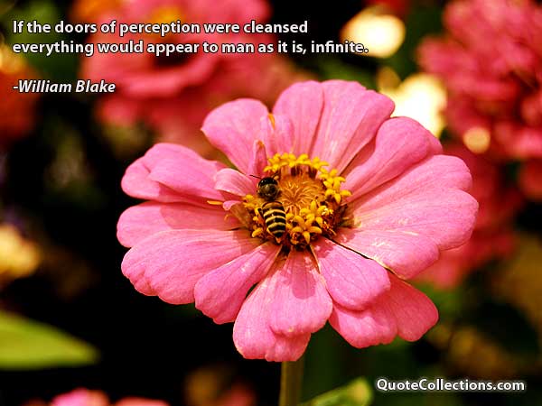William Blake Quotes4